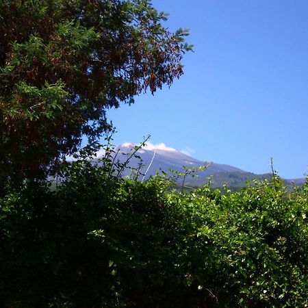 B&B Sotto I Pini ザッフェラーナ・エトネーア エクステリア 写真